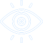 vision
